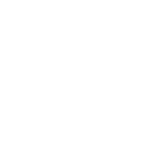 ノースジャパン